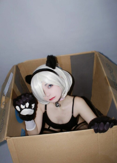 photo 2022 06 22 18 47 45