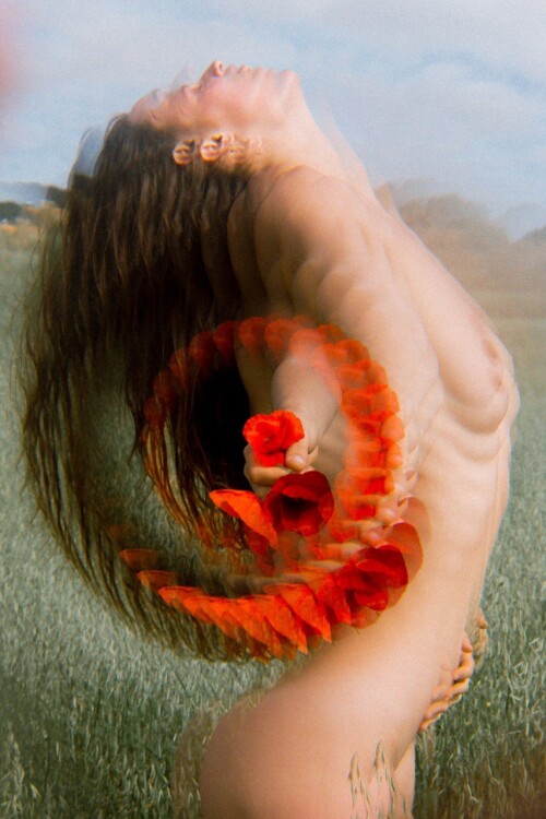 photo 2022 11 06 08 29 05 2