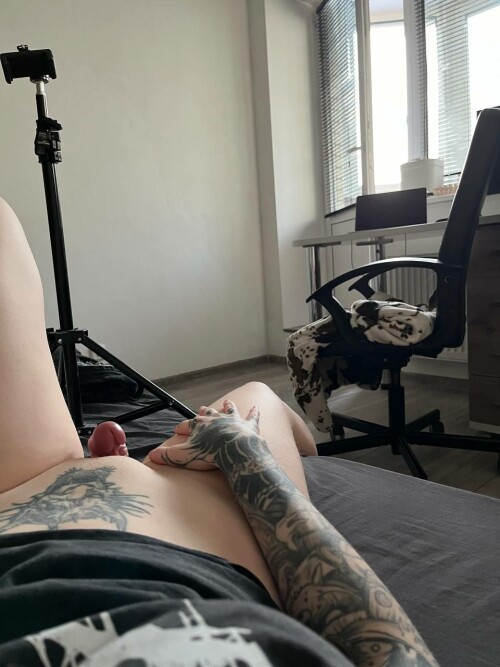 photo 2024 02 20 22 00 3617db15aade23b11a