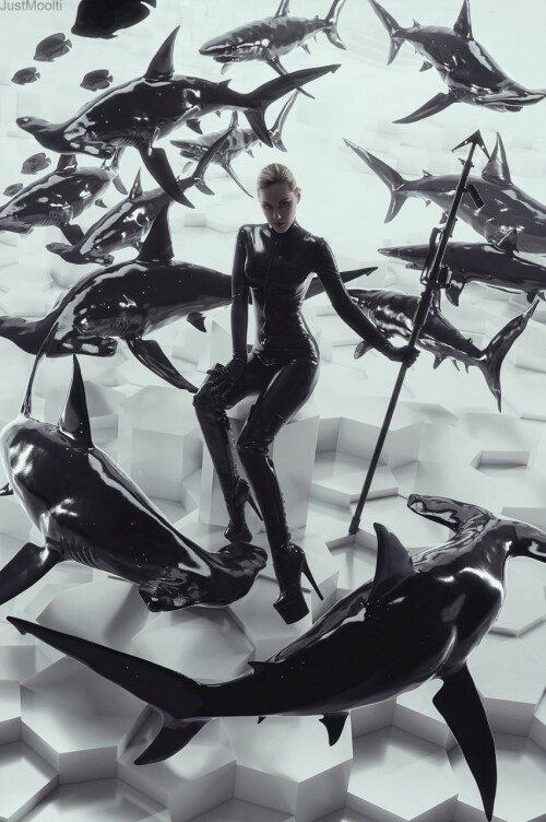 photo 2025 03 10 13 54 49264331d379b497b4