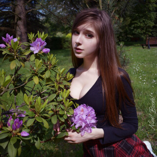 pic_284602d632d944e08c2