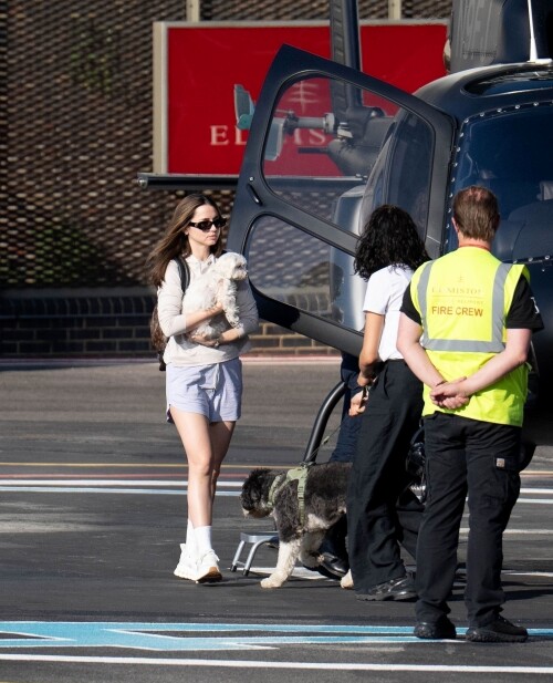 picturepub144c325309ed9141c4