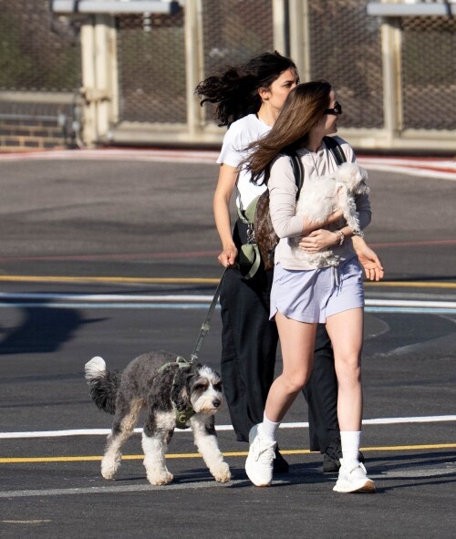 picturepub2572890e4a575517db