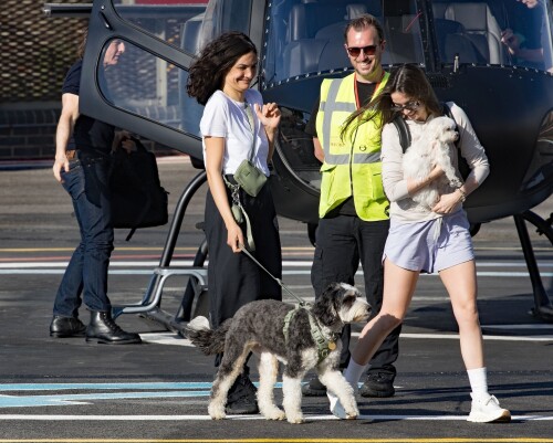 picturepub317d9223bd34888de7