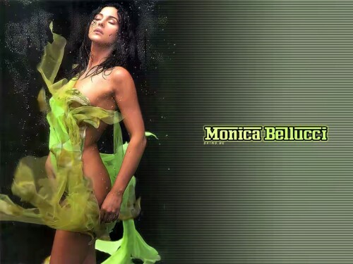 picview tmpSexy Monica Bellucci HD Wallpaper 447dfcca6977a30ba