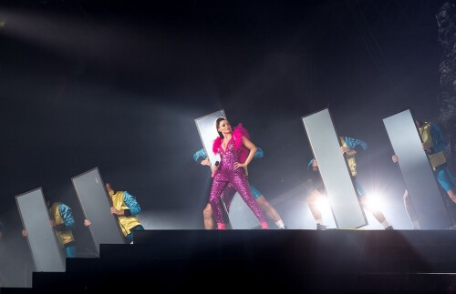 pink051 172981cb5a1a1d3610