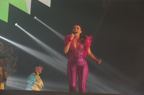 pink051-2690d7241c41136f39