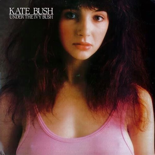 pink14344703662b26a978