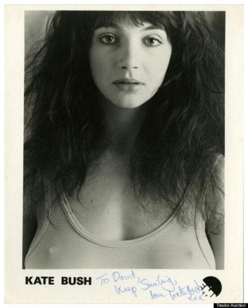 pink7ba8f27a9b953bcfe