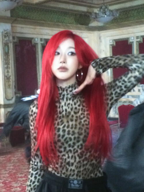 pinterest 1049549888166342054bde3c5d232b7fd7c