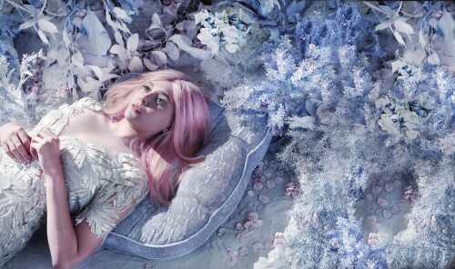 post 62480 0 1446062584 98641