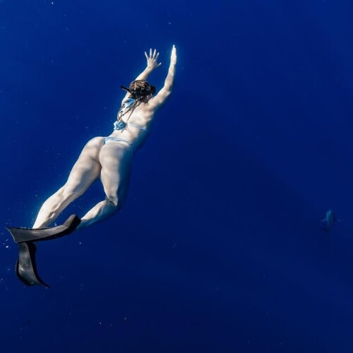 post483921479 18496385773006782 2559720839326799342 n1a1bdfe9b8273216