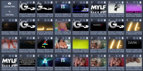 ppcollection395d20887e8a4eda