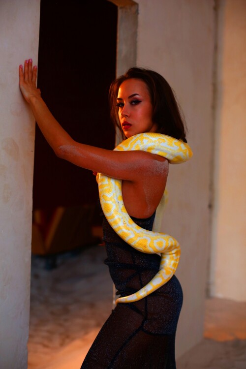 q4kAB4cmxw03a76386fd7ecc4f2