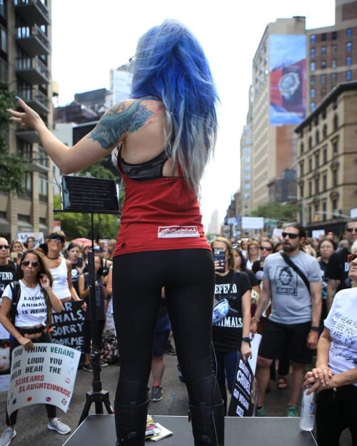 qedg3mx7n6q81e3ee117d624359a0