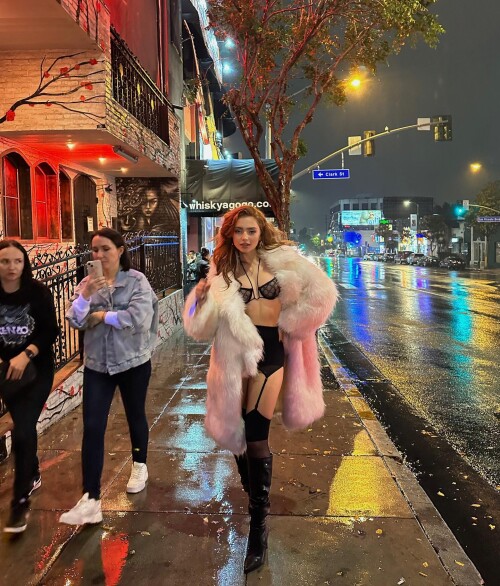 renatarrii 11012023 0002fb7ccd155d1d506a