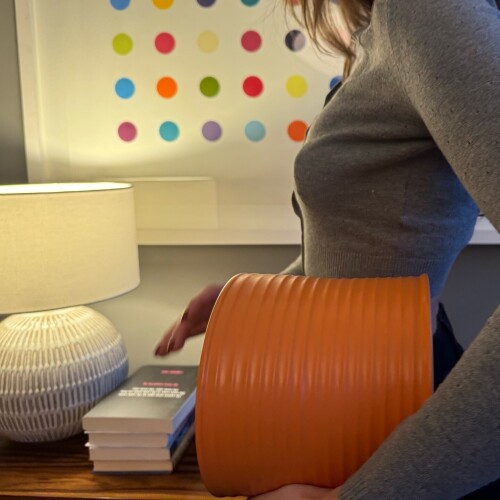 rinalipa 20241220 092101 343279163422ac1bf3021c1fc4