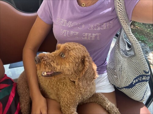 rinalipa_1758113510_3723648472730588576_19225445400a80a59b7af4531