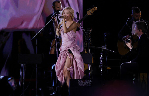 rose2 010132c66dcc8e00949