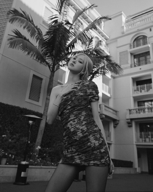 roses are rosie 20231111 022603 400772057 1079128470193185 737989876524523418 n6a6adec2715a59da