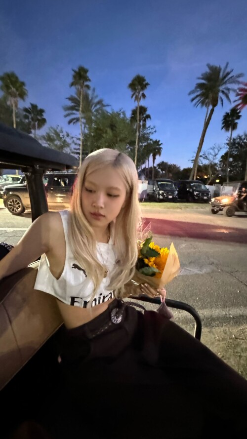 roses are rosie 20250414 011832 491463114 18294716464268751 2513819996183558948 n4f66e7c3a81ac7e9