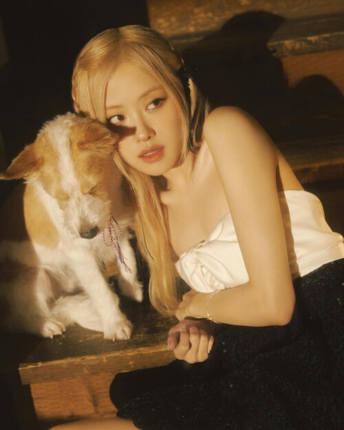 roses are rosie 23122023 0006a46f408c62db36df