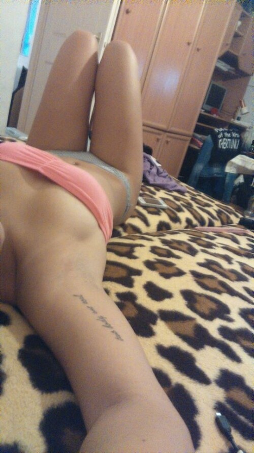 rozsacintia Zappp IMG128