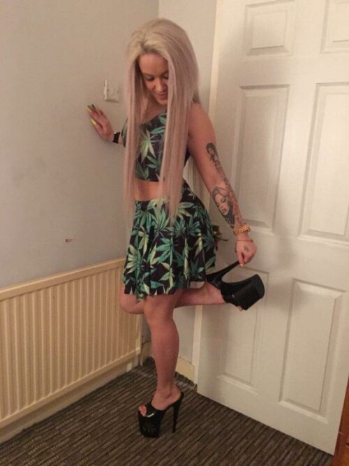 rozsacintia Zappp IMG71