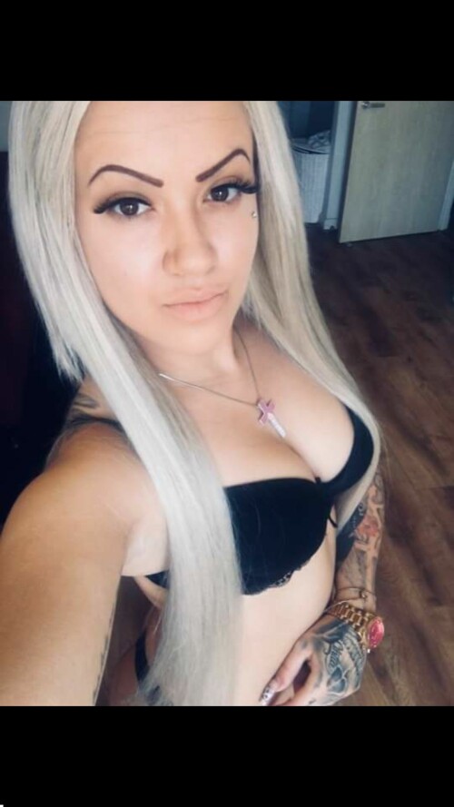 rozsacintia Zappp IMG95