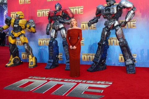 s13eda514d64082a2975d