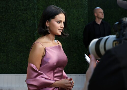 selena 2821bf4241bf065a3d