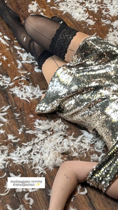 selena gomez v0 4g1c1b293x7e14e1278ceb422f407