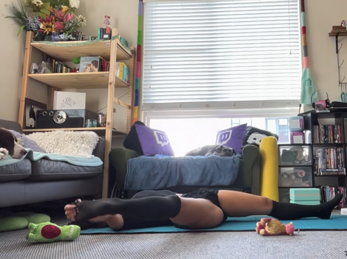 selkies-sc-372764b06600cffdd