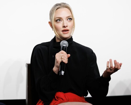 seyfriedddd 134a86989d6bf4b818