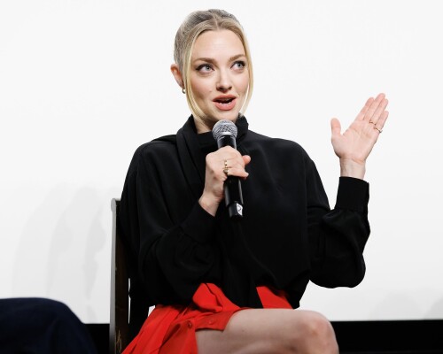 seyfriedddd 13d4643e144e108be