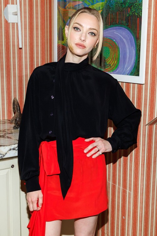 seyfriedddd 3bd2ae237f26593b8