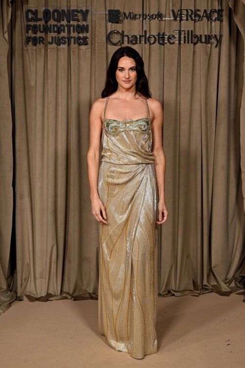 shailene 3a5922d24fe63268b