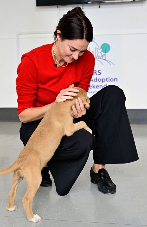 shailene woodley selects tonal casual for adoption event 1bbbab8f3eb8df2ec