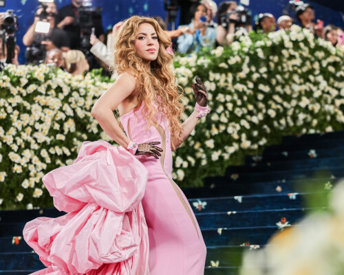 shakira-218320087fc7375d4b