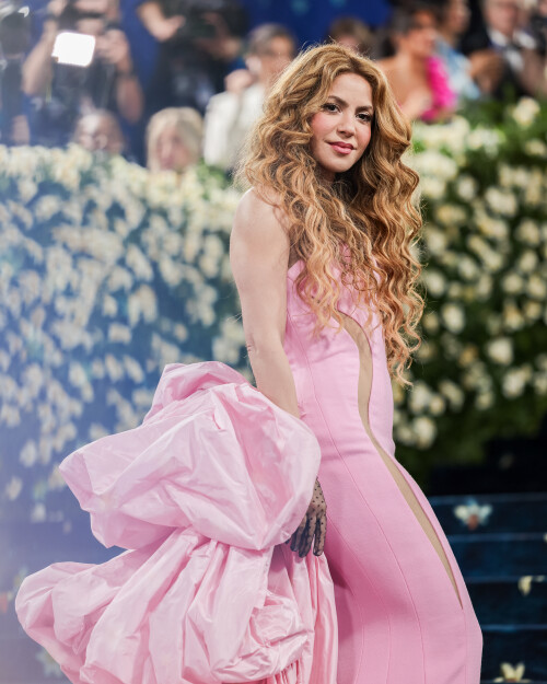 shakira-81e316723864c6fdf