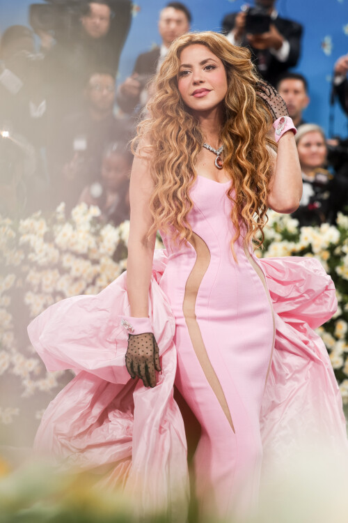 shakira-9cb2942bd8fab5336