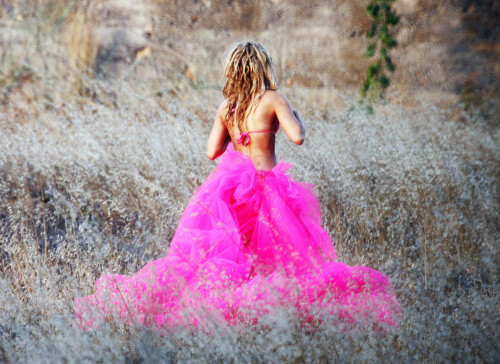 shakira 03941dc928d57bfe0ab