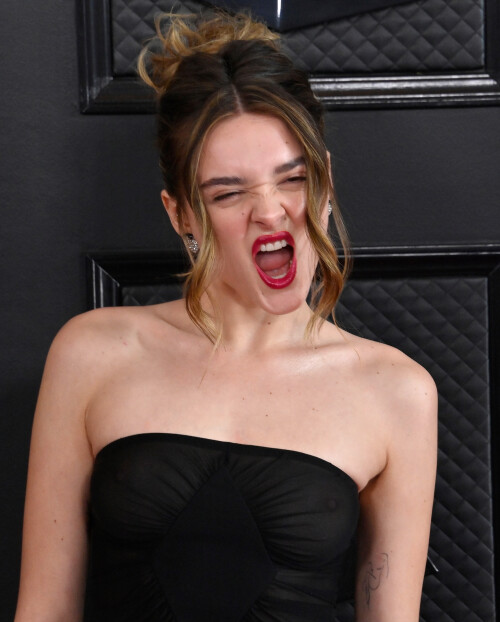 shutterstock_editorial_Grammy_Awards_2023_Los_Angele_13755633pj