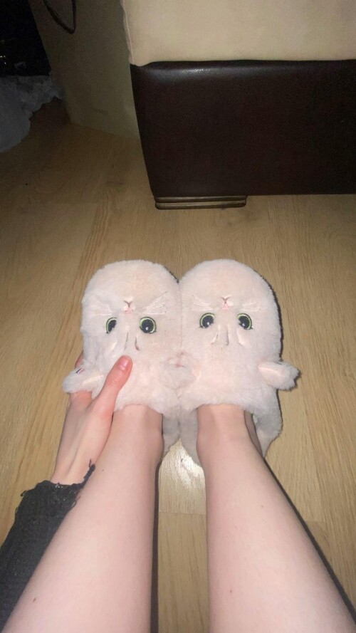 signal 2024 01 07 200532 004692feabb5fd19f40