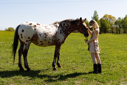 single 054 141010242910243430012467b7d36713