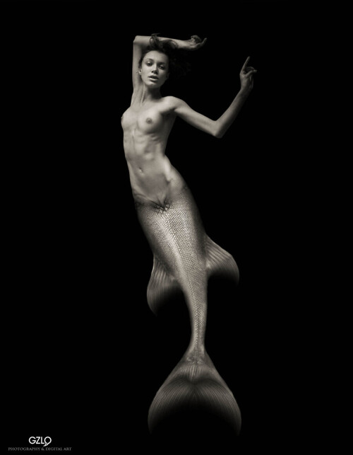 sirena224bee2cc22fc9128