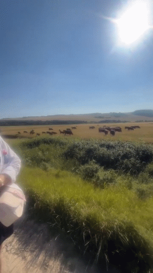 slowmosteviecleavedd5039193ac2acc7.gif