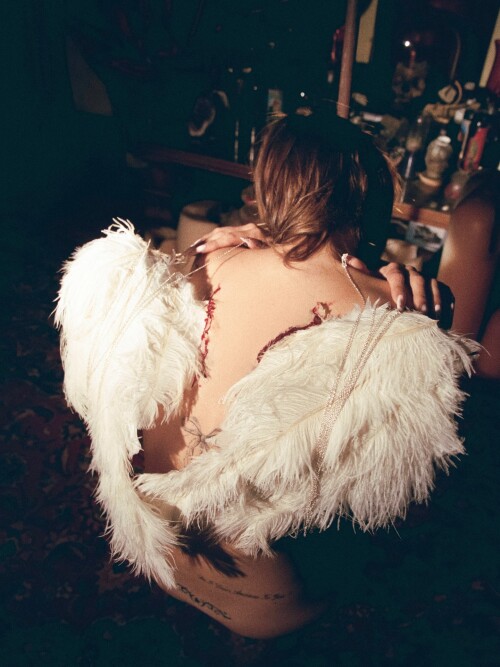 smashedely2025 10 26 02 57 561283193a ae64 4d98 b08a ea2359027347412887f17f8f49ed