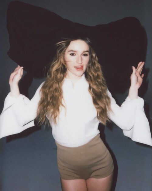 snapins ai 3581721641379265033ad4ed21468b73fd1