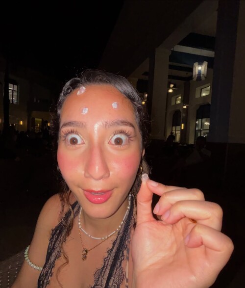 snapins-ai_362228922501108424174e11e3eb663ed19